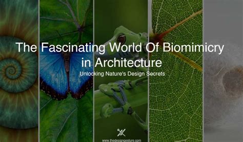  Nature's Architect: A Journey Through Biomimicry - Unveiling Nature's Secrets for Sustainable Innovation